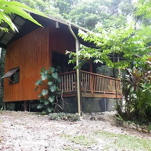 Bed & Breakfast Epiphyte ***